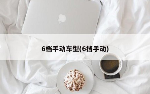 6档手动车型(6挡手动)