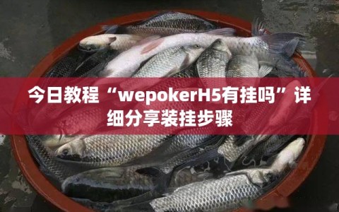 今日教程“wepokerH5有挂吗”详细分享装挂步骤