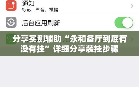 分享实测辅助“永和备厅到底有没有挂”详细分享装挂步骤