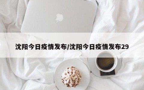 沈阳今日疫情发布/沈阳今日疫情发布29