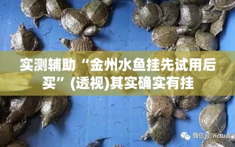 实测辅助“金州水鱼挂先试用后买”(透视)其实确实有挂