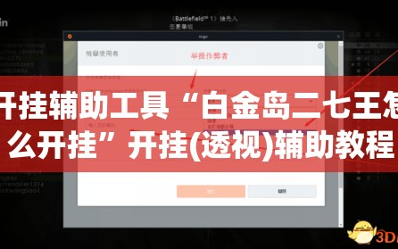 开挂辅助工具“白金岛二七王怎么开挂”开挂(透视)辅助教程