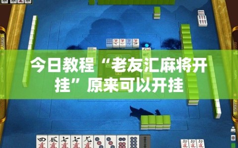 今日教程“老友汇麻将开挂”原来可以开挂