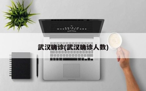 武汉确诊(武汉确诊人数)