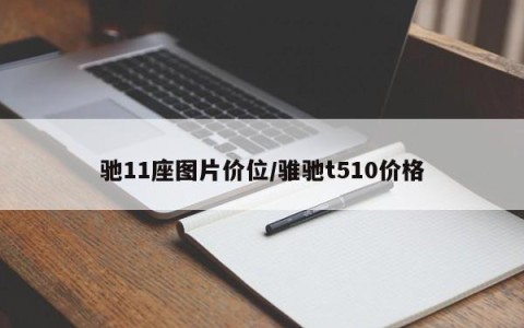 驰11座图片价位/骓驰t510价格