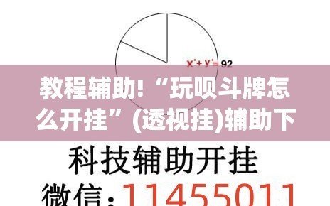 教程辅助!“玩呗斗牌怎么开挂”(透视挂)辅助下载教程