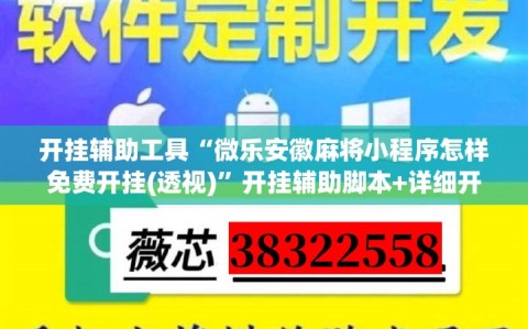 开挂辅助工具“微乐安徽麻将小程序怎样免费开挂(透视)”开挂辅助脚本+详细开挂安装教程