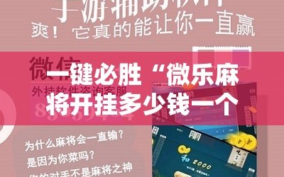 一键必胜“微乐麻将开挂多少钱一个”科技辅助神器手机版