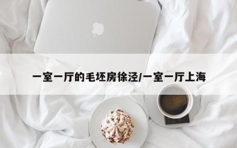 一室一厅的毛坯房徐泾/一室一厅上海