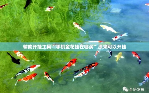辅助开挂工具“手机金花挂在哪买”原来可以开挂