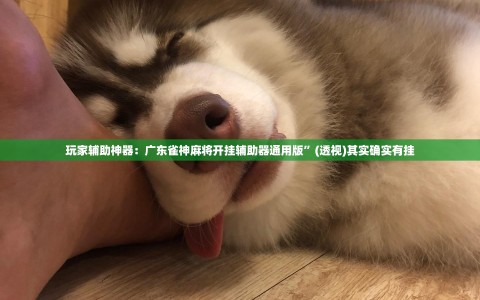 玩家辅助神器：广东雀神麻将开挂辅助器通用版”(透视)其实确实有挂