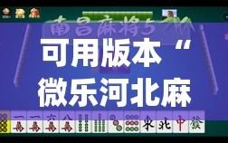 可用版本“微乐河北麻将万能开挂器通用版”(透视)其实确实有挂