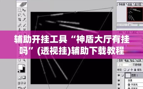 辅助开挂工具“神盾大厅有挂吗”(透视挂)辅助下载教程