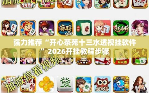 强力推荐“开心茶苑十三水透视挂软件”2026开挂教程步骤