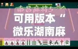 可用版本“微乐湖南麻将三打哈有挂吗”开挂详细教程