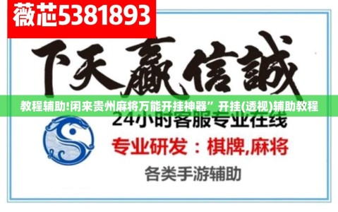 教程辅助!闲来贵州麻将万能开挂神器”开挂(透视)辅助教程