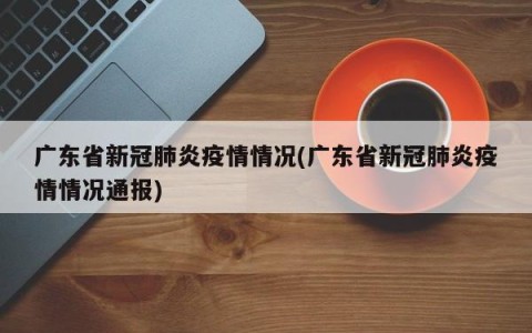 广东省新冠肺炎疫情情况(广东省新冠肺炎疫情情况通报)