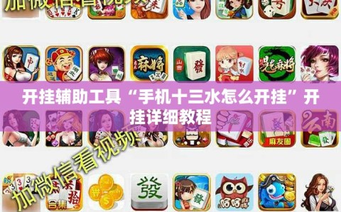 开挂辅助工具“手机十三水怎么开挂”开挂详细教程