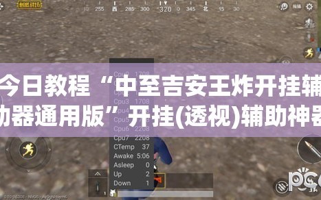 今日教程“中至吉安王炸开挂辅助器通用版”开挂(透视)辅助神器