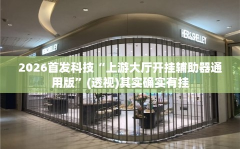 2026首发科技“上游大厅开挂辅助器通用版”(透视)其实确实有挂