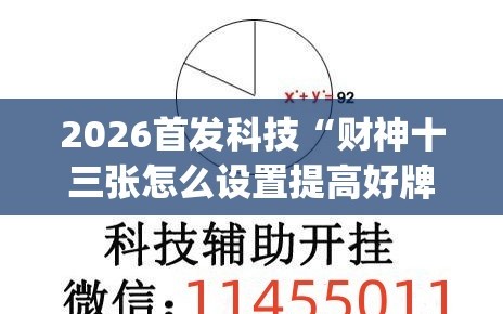 2026首发科技“财神十三张怎么设置提高好牌几率(透视)”开挂辅助脚本+详细开挂安装教程