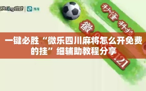 一键必胜“微乐四川麻将怎么开免费的挂”细辅助教程分享