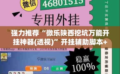 强力推荐“微乐陕西挖坑万能开挂神器(透视)”开挂辅助脚本+详细开挂安装教程