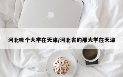 河北哪个大学在天津/河北省的那大学在天津