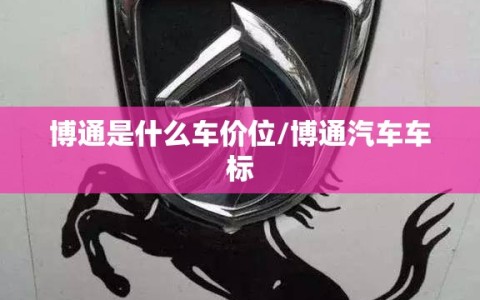 博通是什么车价位/博通汽车车标