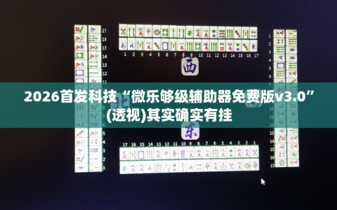 2026首发科技“微乐够级辅助器免费版v3.0”(透视)其实确实有挂