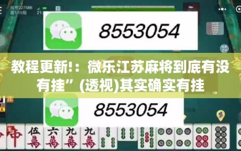 教程更新!：微乐江苏麻将到底有没有挂”(透视)其实确实有挂