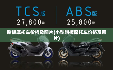 踏板摩托车价格及图片(小型踏板摩托车价格及图片)