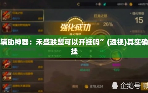 玩家辅助神器：禾盛联盟可以开挂吗”(透视)其实确实有挂