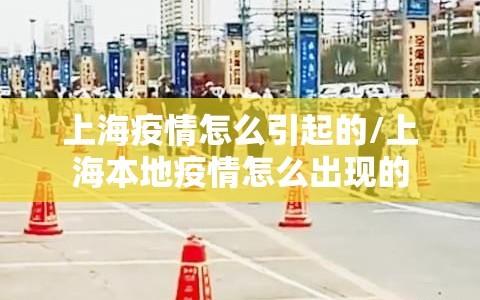 上海疫情怎么引起的/上海本地疫情怎么出现的