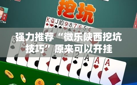 强力推荐“微乐陕西挖坑技巧”原来可以开挂