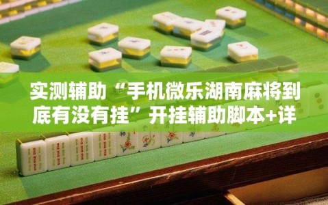 实测辅助“手机微乐湖南麻将到底有没有挂”开挂辅助脚本+详细开挂安装教程