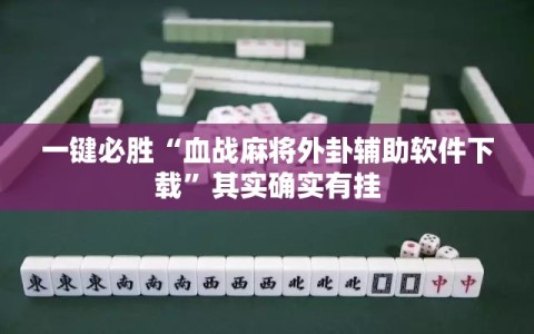 一键必胜“血战麻将外卦辅助软件下载”其实确实有挂