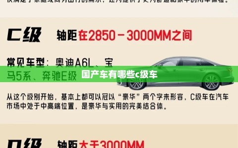 国产车有哪些c级车