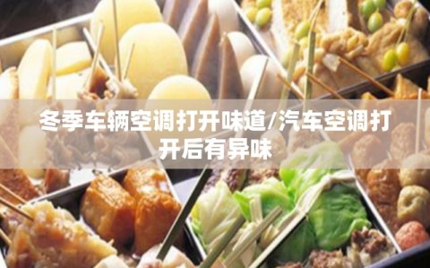 冬季车辆空调打开味道/汽车空调打开后有异味