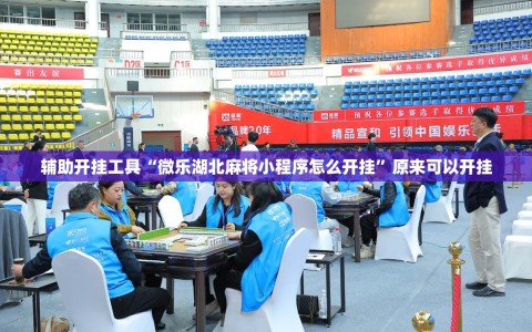 辅助开挂工具“微乐湖北麻将小程序怎么开挂”原来可以开挂