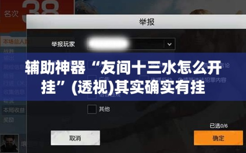 辅助神器“友间十三水怎么开挂”(透视)其实确实有挂