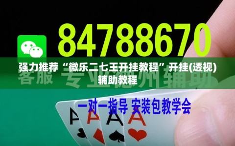 强力推荐“微乐二七王开挂教程”开挂(透视)辅助教程