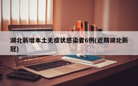 湖北新增本土无症状感染者6例(近期湖北新冠)