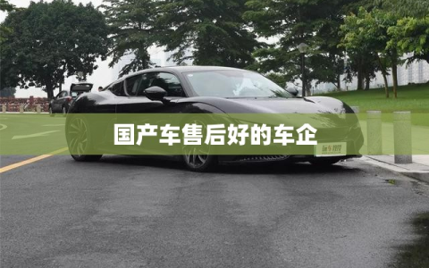 国产车售后好的车企