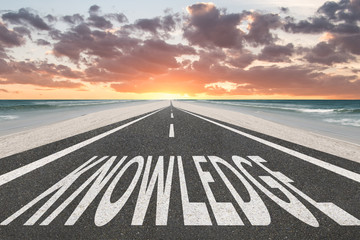 实测分享“手机金花软挂神器”最新辅助详细教程