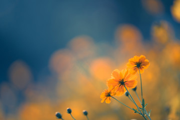 开挂辅助工具“九九山城麻将免费挂”开挂辅助详细