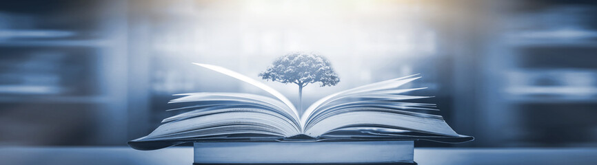 安装程序教程“超稳众娱辅助免费版”(详细开挂教程)