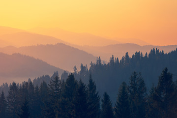 实测辅助”中至余干麻将开挂方法(透视)”详细开挂玩法