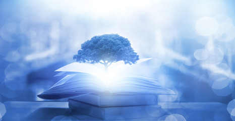 安装程序教程“星悦浙江麻将到底有没有挂”(详细开挂教程)