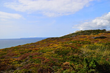 开挂辅助工具“途游四川麻将挂下载”分享必要外挂教程
